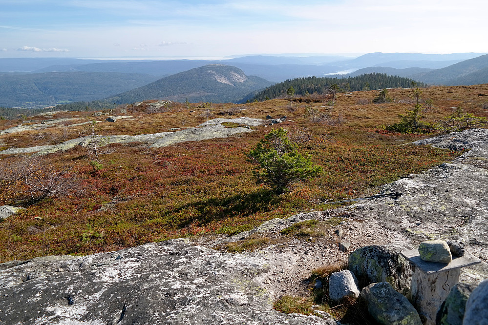 På toppen av Nedalsfjellet (881), med utsikt mot sørøst. I bakgrunnen, nokså midt i bildet, ses Andersnatten (733) med sine blankskurte fjellvegger.