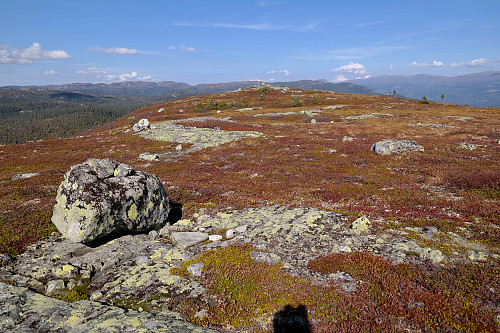 Jeg står på høyden litt sør for toppen av Nedalsfjellet (881), og ser tilbake mot toppvarden og trig.punktet, som er midt i bildet.