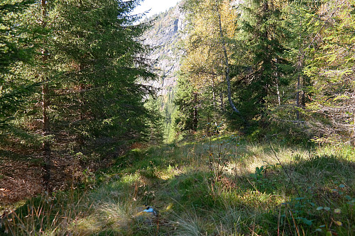 Nedover den blåmerkede stien som er tegnet inn som traktorvei på kartet, rett ovenfor setra Nedalen.