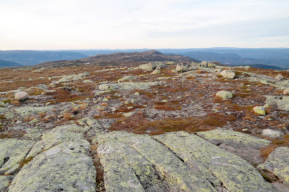 Mot nord/nordvest fra toppen av Gyranfisen (1127). Lengre bak, temmelig midt i bildet, er Treknatten (1101). Langt i det fjerne, litt til venstre, skimtes Jotunheimen.