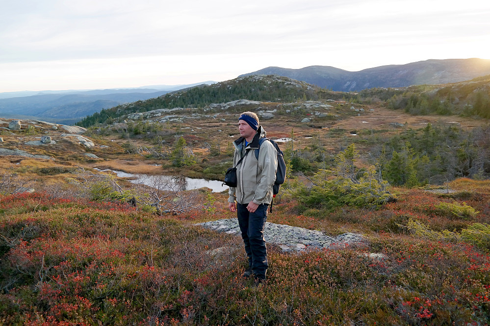 På vei mot Roligfjellet Vest (932), som er kollen i bakgrunnen med skog oppover mot toppen, rett over meg. Bak Roligfjellet Vest igjen er Bukollen (1121).