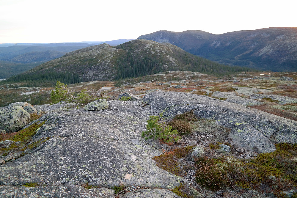 På Roligfjellet Vest (932), med utsikt rett mot Sandvasskollen (937). Lengre bak og litt til høyre for Sandvasskollen er Bukollen (1121).