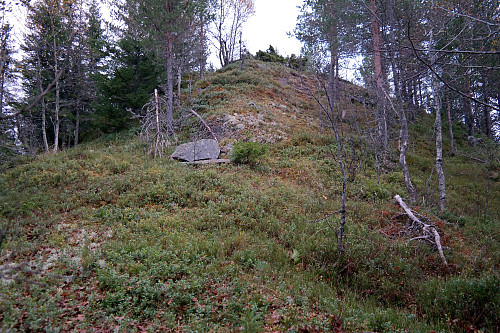 Siste brattbakken opp mot toppen av Lauvåsen (675).