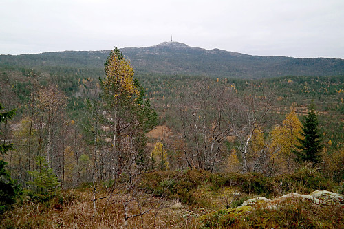 Jonsknuten (904) med et lite dryss av nysnø, sett fra nedstigningen i østsiden på Lauvåsen (675).