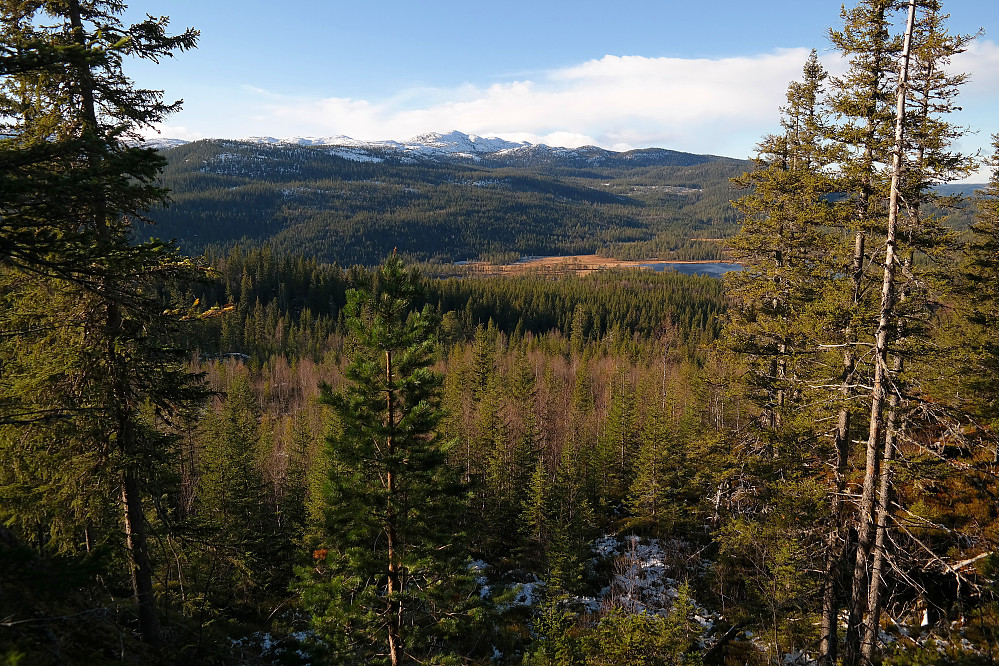 Noen åpninger i skogen var det litt vest for toppen av Råhaugen (641). Her ses blant annet den snødekte Treknatten (1101) midt i bildet.