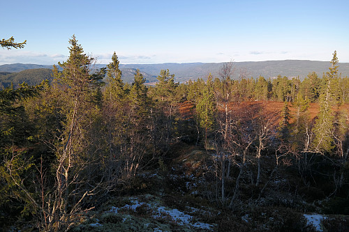 Utsikt nordover fra toppen av Skarrudkollen (651). Nes kan skimtes nede i dalen bak furua midt i bildet.
