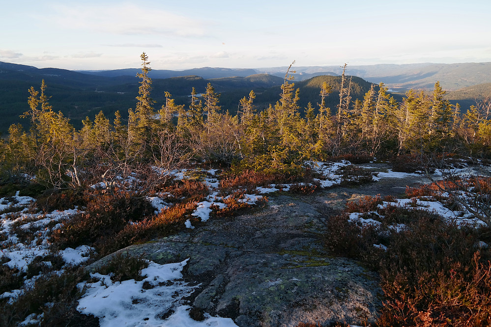 På vei oppover stien til Elsrudkollen (757) ble skogen mer glissen på rundt 700 meters høyde, og jeg fikk utsikt nordover. Her kunne jeg se tilbake mot de to åsene jeg besteg 1-2 timer tidligere: Skarrudkollen (651, nærmest til høyre) og Råhaugen (641, med litt sol på toppen, litt til venstre for midten).