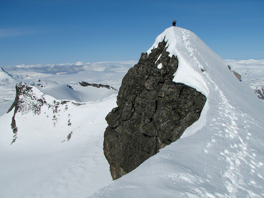 Erik på en liten topp på ryggen mellom Veslebjørn (2150) og Skeie (2118).