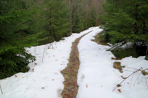 God service fra naturen her! En passe stor stripe er smeltet bort midt i stien så det ble lettere å gå.