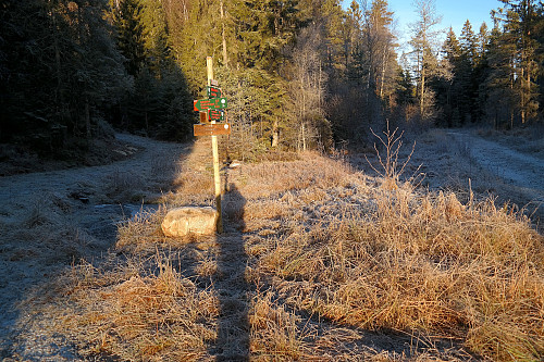Veiskillet rett vest for Festningsåsen (270). Stien til Vardåsen (374) går til venstre her. Til høyre fortsetter skogsbilveien videre mot nord/nordøst.