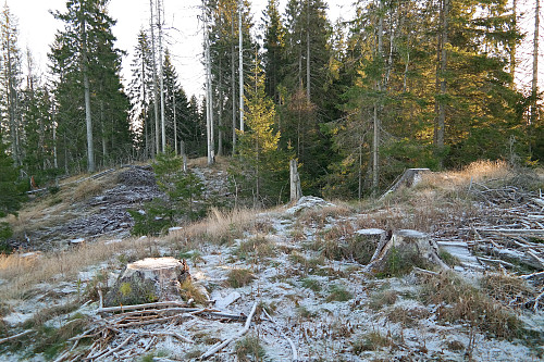 Toppen av Vardåsen (374) befinner seg inne i skogen midt i bildet.