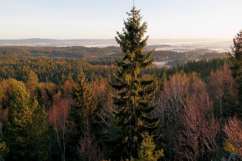 Utsikt mot sørøst fra Øst for Vardåsen (310).