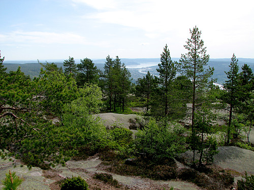 På Solbergvarden (531). Drammen og Drammensfjorden ses mellom trærne midt i bildet.
