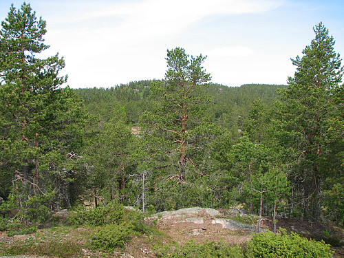 På Solbergvarden (531). Bildet tatt mot Lokkeråsen (607).