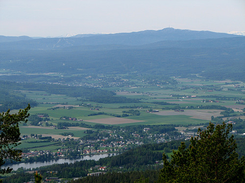 Zoom i retning Kongsberg fra Solbergvarden (531). Jonsknuten (904) ses bak til høyre med mast på toppen.