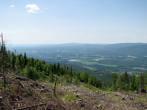 Utsikt mot sørvest fra stien til Snaukollen (661). Jonsknuten (904) ved Kongsberg ses langt bak midt i bildet.