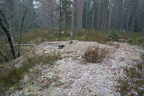 Eller er dette høyeste punkt på Puttåsen (363)? Den sørlige kulen med et syltynt dryss av fersk nysnø.