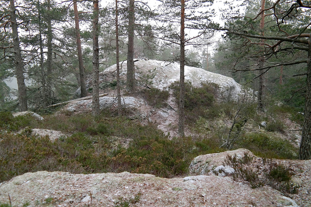 Tydelig toppunkt på Søndre Lutåsen (329), men en liten varde øverst.