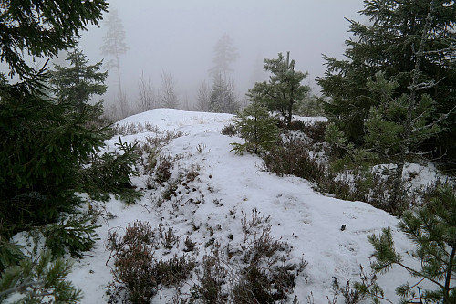 Trig.punktet på Kjølstadberget (304). Metallbolten ses i snøen nede til høyre i bildet.