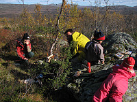 Nils_20170220_58ab54d562046.jpg