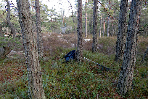 Høyeste punkt på Kjerringa (214) er muligens her et sted. Bak ses øverste del av skiheisen på Kjerringåsen alpinsenter.