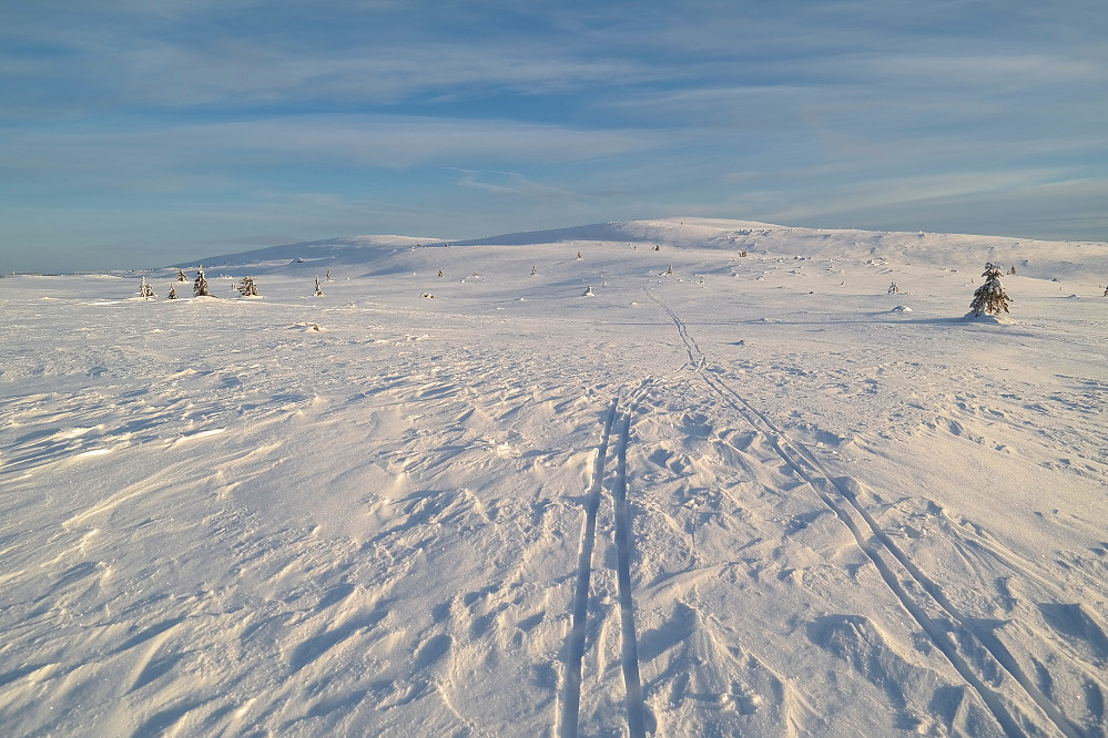 Skisporene jeg fulgte forsvinner mot Slåsæterfjellet (1064). Lengre bak til venstre ses Nevelfjell (1091).