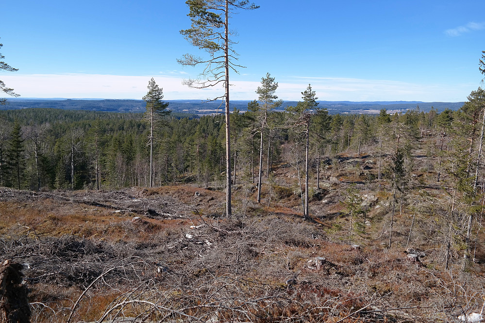 Fra høyden som akkurat tangerer 300-meters koten, like ved Nordvest for Oppskot (301), er det bra utsyn vestover.