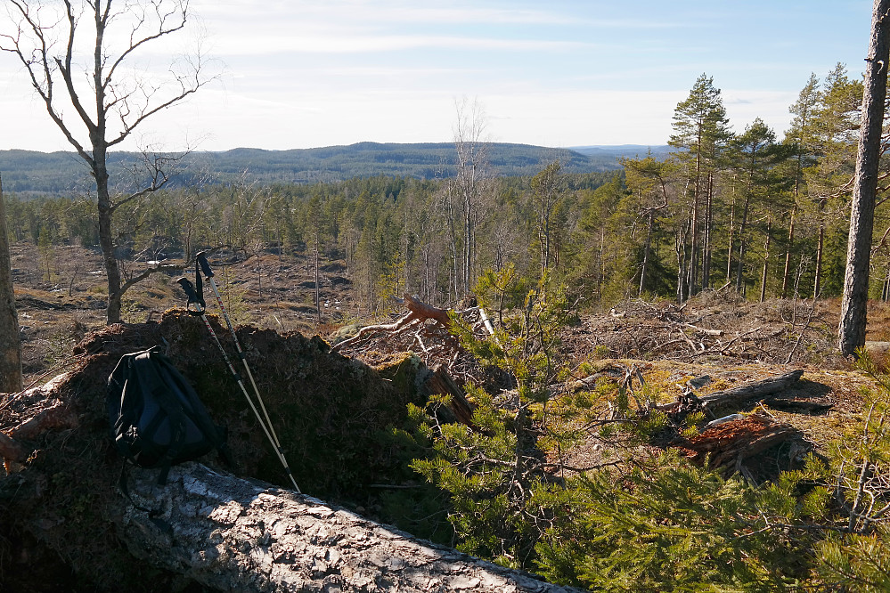 Fra toppen av Svinåsen (285) var det overraskende god utsikt vestover. Årsaken ser man jo nedenfor til venstre. Den høyeste kulen i bakgrunnen, litt til venstre for midten av bildet, er Oppskot (302).