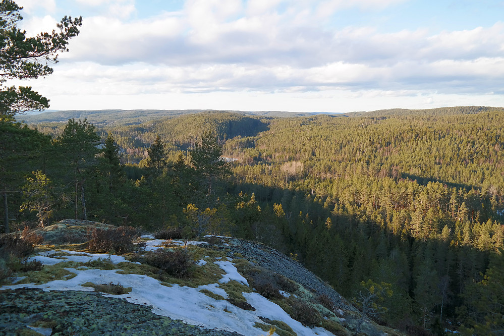 Nordover sett fra Hølvannsknattens utsiktspunkt.