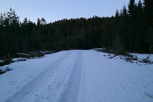 Mest bart ute i skogen, men en god del snø på veien mot Lembruheia (352), som er åsen i bakgrunnen.