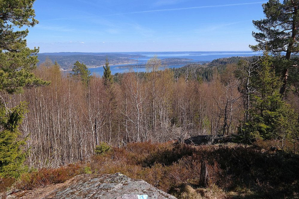 Utsikt mot sørøst fra stien til Tyriåsen (320).