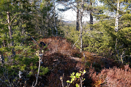 På toppen av Sørøst for Saueråsen (212).