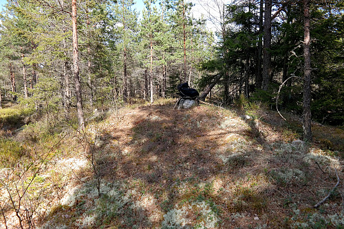 På toppen av Kampetjernhøyda (262).