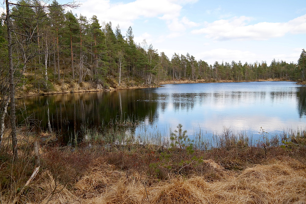 Det største av Brutjerna (243.2 moh) passeres underveis til Skotjernhøyda (266), som befinner seg bak skogen til venstre i bildet.