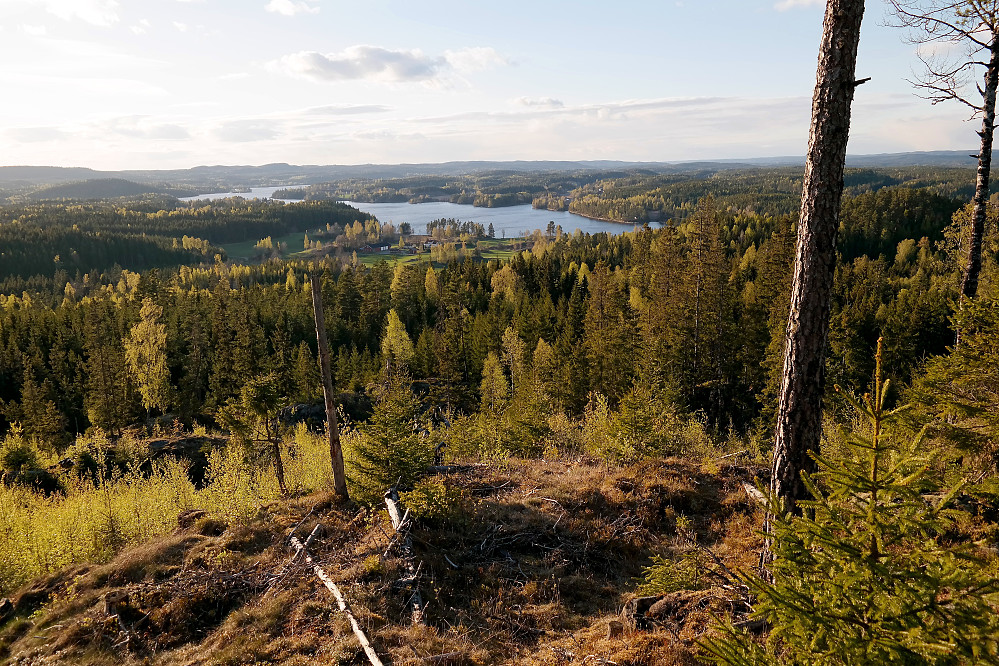 Fin utsikt fra Brenna (214). Her mot nordvest. De som skulle finne på å forville seg til toppen på Rødtjernhøgda (235), burde absolutt ta turen oppom høyeste punkt på Brenna også.