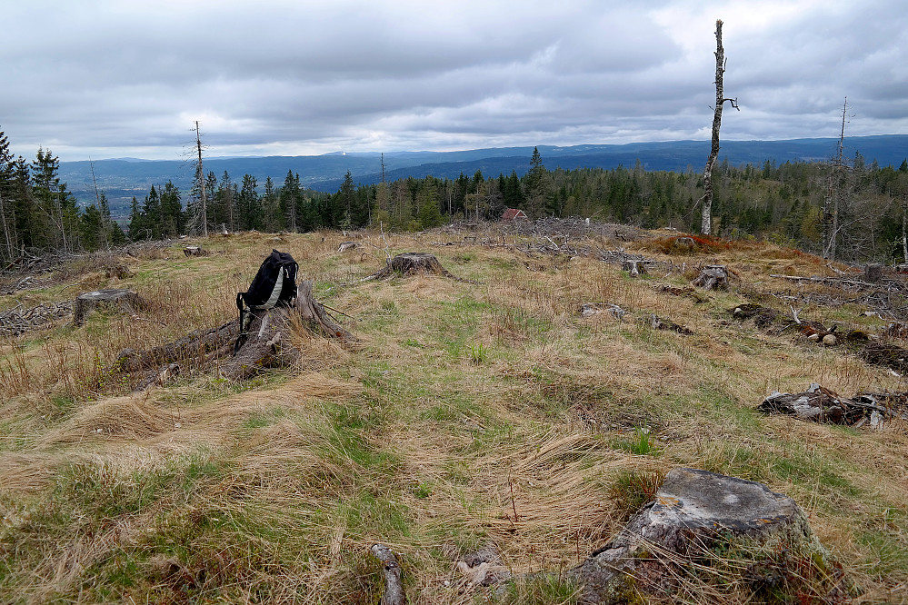 På Sørøst for Nipkollen (516). Utsikt mot sørvest. Langt bak og litt til venstre skimtes den snødekte alpinbakken i Varingskollen.