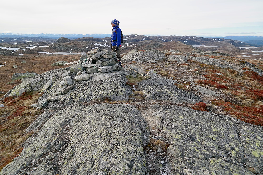 På toppen av Reinsjøfjellet (1312). I bakgrunnen, like til høyre for Erling, ses Hallingnatten (1314). Den markerte knatten til venstre i bildet, er Korpenatten (1294).