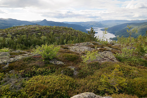 Utsikt mot nordvest fra toppen av Store Blodfjell (745). Den nærmeste kollen til venstre er Store Blodfjell NV (743). Innsjøen Krøderen ses nedenfor til høyre.