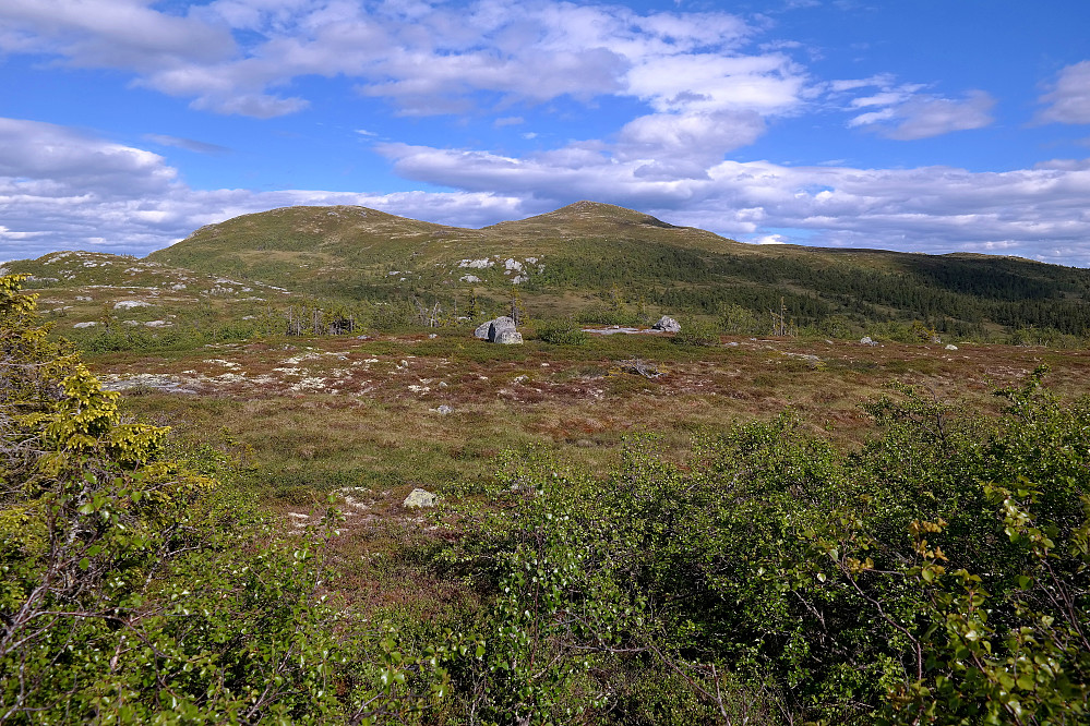 Veslesenhovd (1083) til venstre, og selve Senhovd (1142) midt i bildet. Sett fra Grohølsfjell (956).