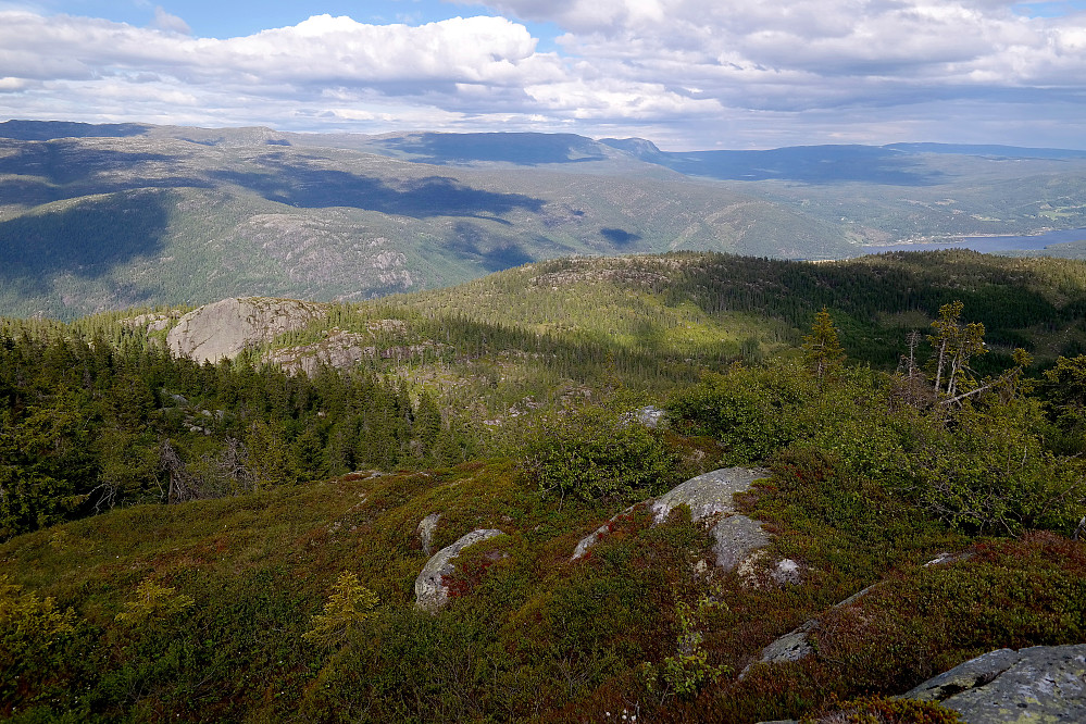 Utsikt østover under oppstigningen til Langemyrfjellet (1036). Den glatte fjellveggen litt nedenfor og til venstre i bildet, er vestveggen på Gråskallen (802).