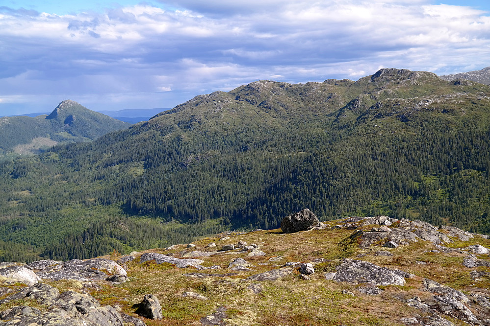 Utsikt mot sørøst fra Langemyrfjellet (1036). Fjellet i bakgrunnen til høyre er Vardefjell (1120). Lengre bak og til venstre i bildet ses Hestgjuvnatten (1068).