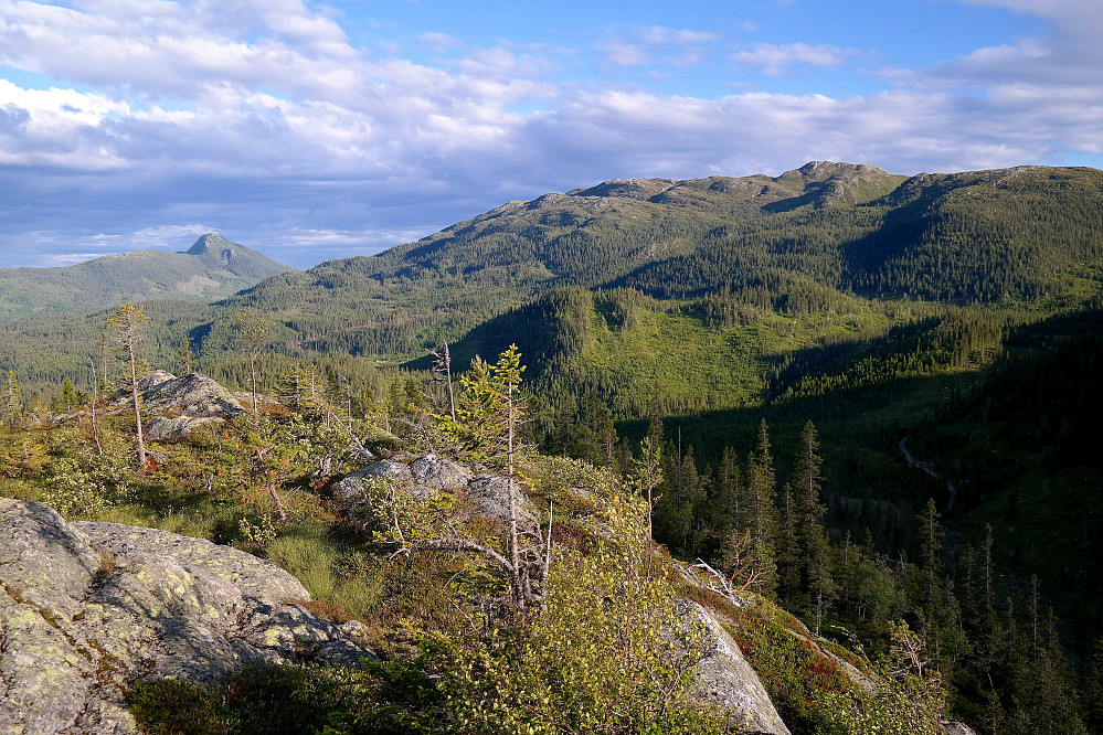 På toppen av Gråskallen (802). Utsikt mot sørøst. Fjellet oppe til høyre er Vardefjell (1120). Lengre bak og til venstre i bildet, ses Hestgjuvnatten (1068).