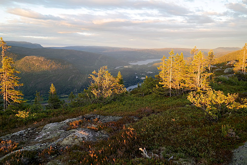 Utsikt ned i Hallingdal fra Sauflag Sørøst (770). Her ser vi mot sørøst. Den bakerste innsjøen er Krøderen.