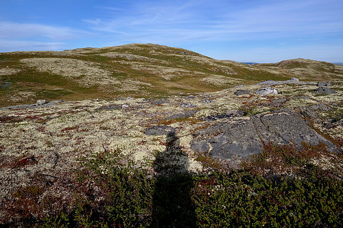 Vi står på Grytingfjellet (1159) og ser mot Taklinatten (1202).