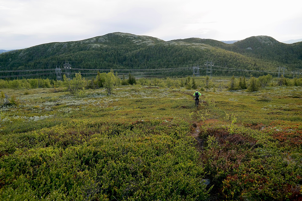 Hans Petter vandrer mot Vehovdfjellet (1142). Den mindre toppen helt til høyre er Trollnatten (1108).