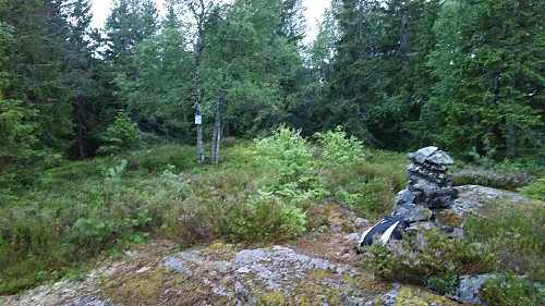 Toppvarden på Klevkollen (530) til høyre.