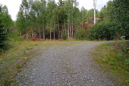 På veien opp mot Dugurdmålsnatten (495) fulgte jeg veien som forsvinner ut av bildet til høyre. 100 meter senere stoppet denne grusveien. På returen kom jeg ned den grønne kjerreveien oppe til venstre i bildet.