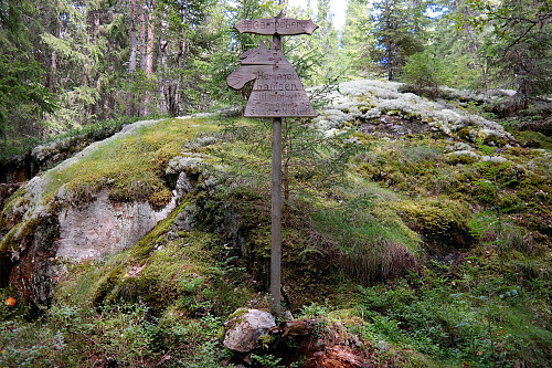 Gampeberget. Midt inne i skogen, like etter at jeg forlot stien og startet på bakken mot toppen, dukket dette hestehodeskiltet opp. Under korset står det: "Her jaget bamsen sitt matbytte ut, så gamp og sult tok slutt."