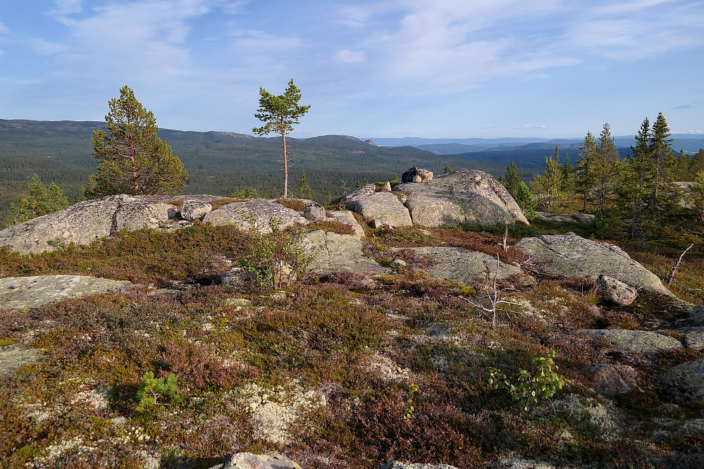 Liten toppvarde på Eidvasskollen (764), men fin utsikt. I bakgrunnen midt i bildet, ses Hestebrenna (772) med Tjuvenborgen (688) stikkende opp litt nedenfor til høyre.