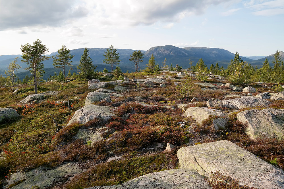 På Eidvasskollen (764). En litt større varde ses noe lengre bak, litt til høyre i bildet. Mye lengre bak og omtrent rett bak denne varden, er Bukollen (1121).